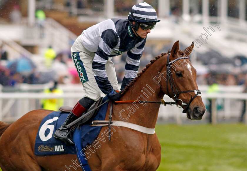 Good-Risk-At-All-0001 
 GOOD RISK AT ALL (Sam Twiston-Davies)
Aintree 14 Apr 2023 - Pic Steven Cargill / Racingfotos.com