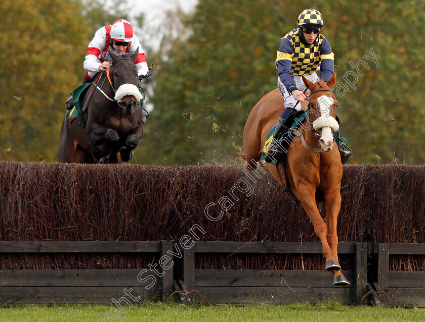 Wolf-Of-Windlesham-0002 
 WOLF OF WINDLESHAM (right, Ciaran Gethings) beats SKANDIBURG (left) in The Breeders' Cup On Sky Sports Racing Novices Chase
Fakenham 16 Oct 2020 - Pic Steven Cargill / Racingfotos.com