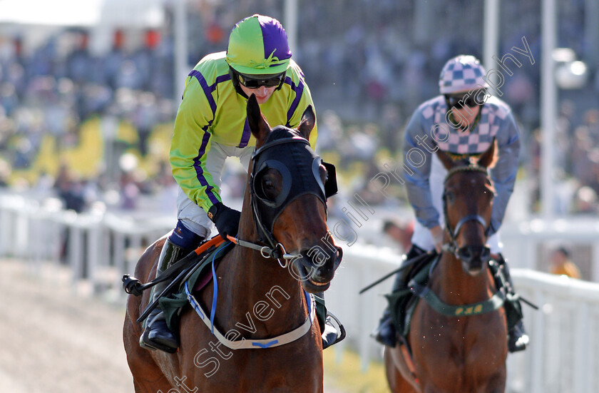 Foxy-Lass-0001 
 FOXY LASS (Denis Hogan) Cheltenham 19 Apr 2018 - Pic Steven Cargill / Racingfotos.com