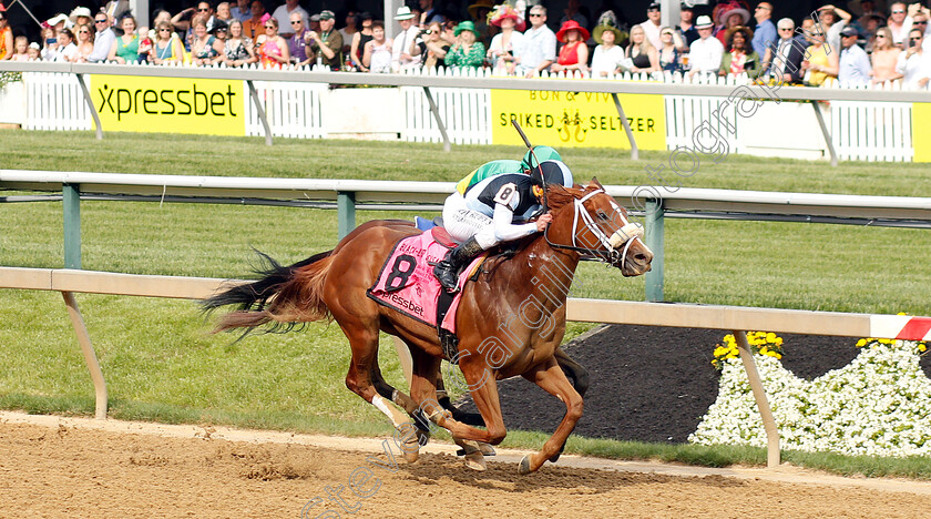 Point-Of-Honor-0004 
 POINT OF HONOR (Javier Castellano) wins The Black-Eyed Susan Stakes
Pimlico, Baltimore USA, 17 May 2019 - Pic Steven Cargill / Racingfotos.com