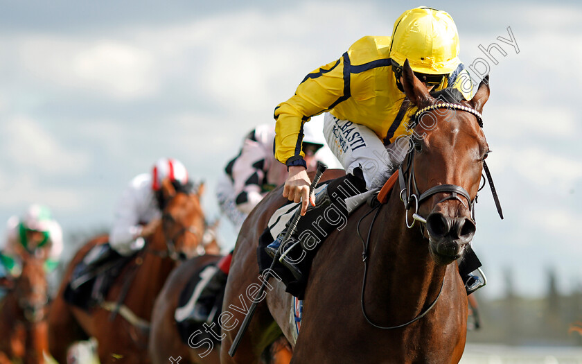 Beshaayir-0005 
 BESHAAYIR (Ryan Moore) wins The British Stallion Studs EBF Maiden Stakes Div2 Newbury 22 Sep 2017 - Pic Steven Cargill / Racingfotos.com