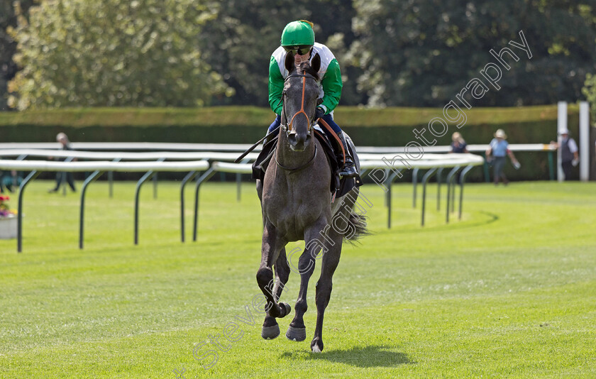 Mukaber-0001 
 MUKABER (Sam Hitchcott)
Nottingham 19 Jul 2024 - Pic Steven Cargill / Megan Dent / Racingfotos.com