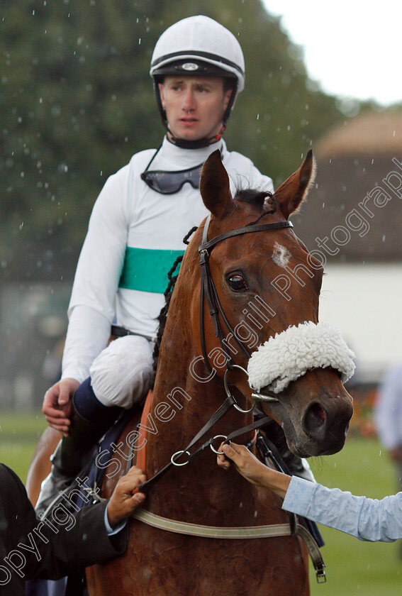 Firelight-0003 
 FIRELIGHT (Oisin Murphy) after winning The Fly London Southend Airport To Perpignan Fillies Novice Stakes
Newmarket 10 Aug 2018 - Pic Steven Cargill / Racingfotos.com