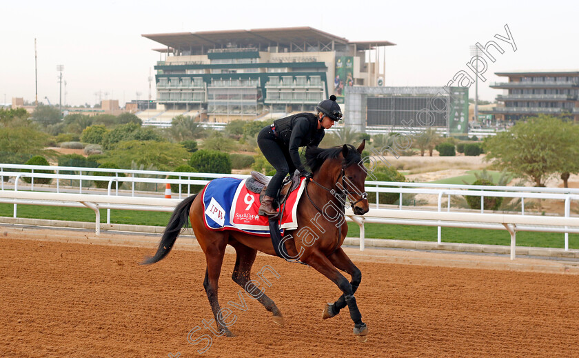 Enemy-0001 
 ENEMY training for The Red Sea Turf Handicap
King Abdulaziz Racetrack, Saudi Arabia 22 Feb 2024 - Pic Steven Cargill / Racingfotos.com