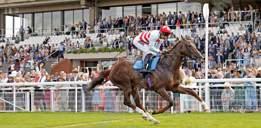 Borntobealeader-0003 
 BORNTOBEALEADER (Sean Levey) wins The William Hill Selling Stakes
Goodwood 28 Aug 2022 - Pic Steven Cargill / Racingfotos.com