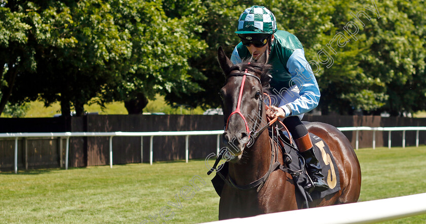 Miss-Nifty-0001 
 MISS NIFTY (Dougie Costello)
Newmarket 29 Jun 2024 - Pic Steven Cargill / Racingfotos.com