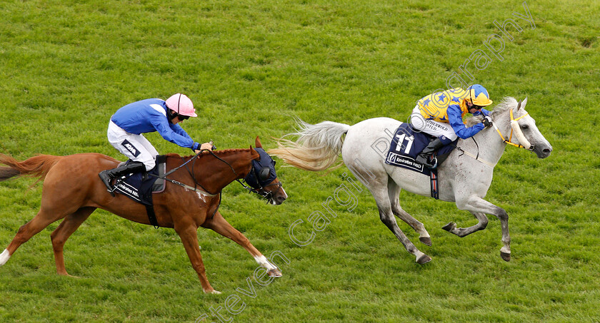 Popsstar-0003 
 POPSSTAR (Martin Dwyer) wins The Emirates NBD Handicap
Newbury 28 Jul 2019 - Pic Steven Cargill / Racingfotos.com