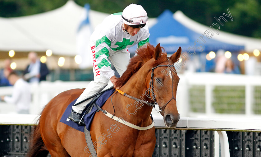 Venturous 
 VENTUROUS (Tom Marquand)
Newcastle 24 Jun 2022 - Pic Steven Cargill / Racingfotos.com