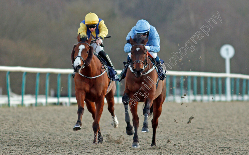 Battle-Of-Marathon-0003 
 BATTLE OF MARATHON (right, Darragh Keenan) beats RENARDEAU (left) in The Betway Apprentice Handicap
Lingfield 8 Feb 2020 - Pic Steven Cargill / Racingfotos.com