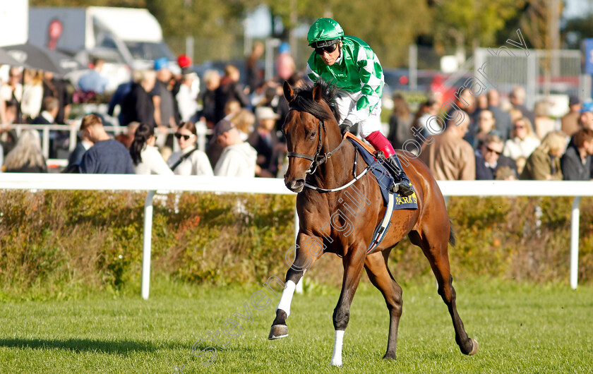 Let s-Go-Crazy-0002 
 LET'S GO CRAZY (Frankie Dettori)
Bro Park 17 Sep 2023 - Pic Steven Cargill / Racingfotos.com