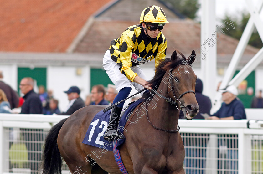 Scarlet-Lady-0001 
 SCARLET LADY (Adam Farragher)
Yarmouth 20 Sep 2023 - Pic Steven Cargill / Racingfotos.com