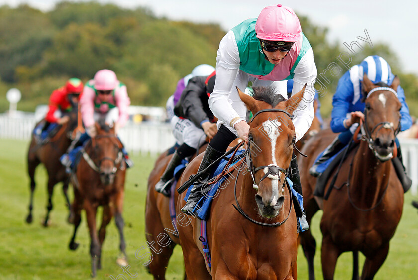 Snow-Shower-0006 
 SNOW SHOWER (James Doyle) wins The Bob McCreery Memorial EBF Quidhampton Maiden Fillies Stakes
Salisbury 5 Sep 2019 - Pic Steven Cargill / Racingfotos.com