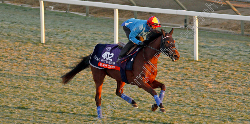 Fanny-Logan-0001 
 FANNY LOGAN (Frankie Dettori) training for The Breeders' Cup Filly & Mare Turf
Santa Anita USA 31 Oct 2019 - Pic Steven Cargill / Racingfotos.com