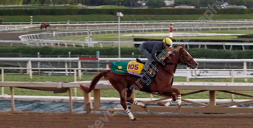 Derma-Sotogake-0001 
 DERMA SOTOGAKE training for The Breeders' Cup Classic
Santa Anita USA, 31 October 2023 - Pic Steven Cargill / Racingfotos.com