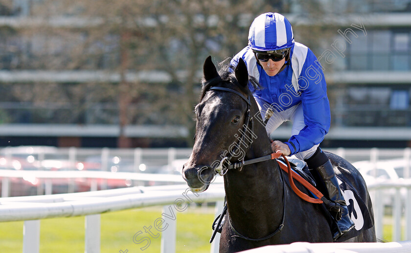 Moqarrar-0001 
 MOQARRAR (Jim Crowley) Newbury 20 Apr 2018 - Pic Steven Cargill / Racingfotos.com