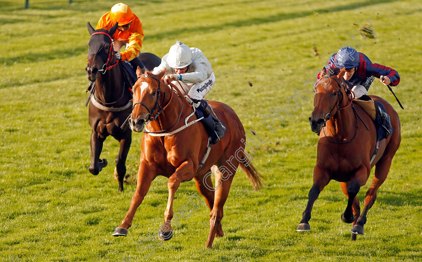 Poet s-Society-0004 
 POET'S SOCIETY (centre, Jim Crowley) beats MAGICAL DREAMER (right) and ANNIE SALTS (left) in The Wainwright Golden Ale Handicap Yarmouth 19 Sep 2017 - Pic Steven Cargill / Racingfotos.com