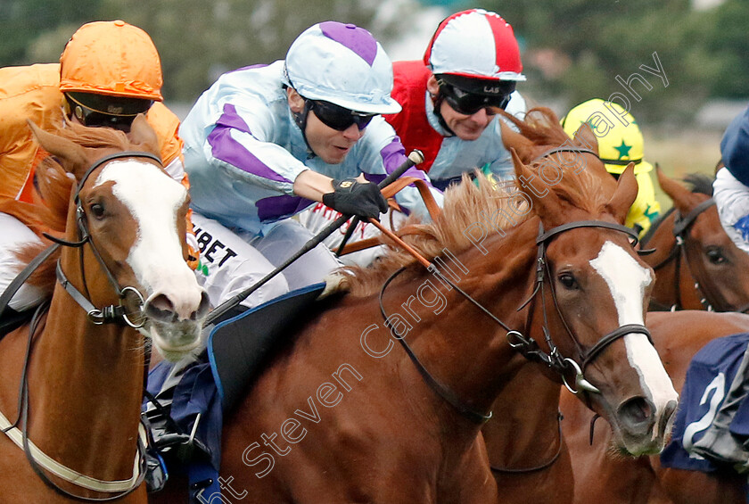 Ashariba-0003 
 ASHARIBA (Jamie Spencer) wins The Eastern Power Systems Restricted Maiden Stakes
Yarmouth 19 Sep 2023 - Pic Steven Cargill / Racingfotos.com