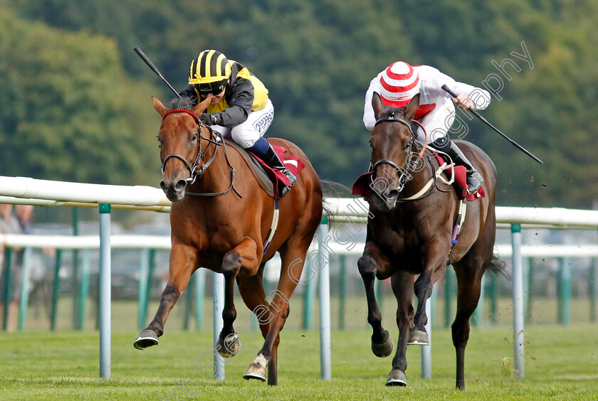 Zouky-0004 
 ZOUKY (Marco Ghiani) beats KITAI (right) in The British EBF Fillies Novice Stakes
Haydock 2 Sep 2022 - Pic Steven Cargill / Racingfotos.com