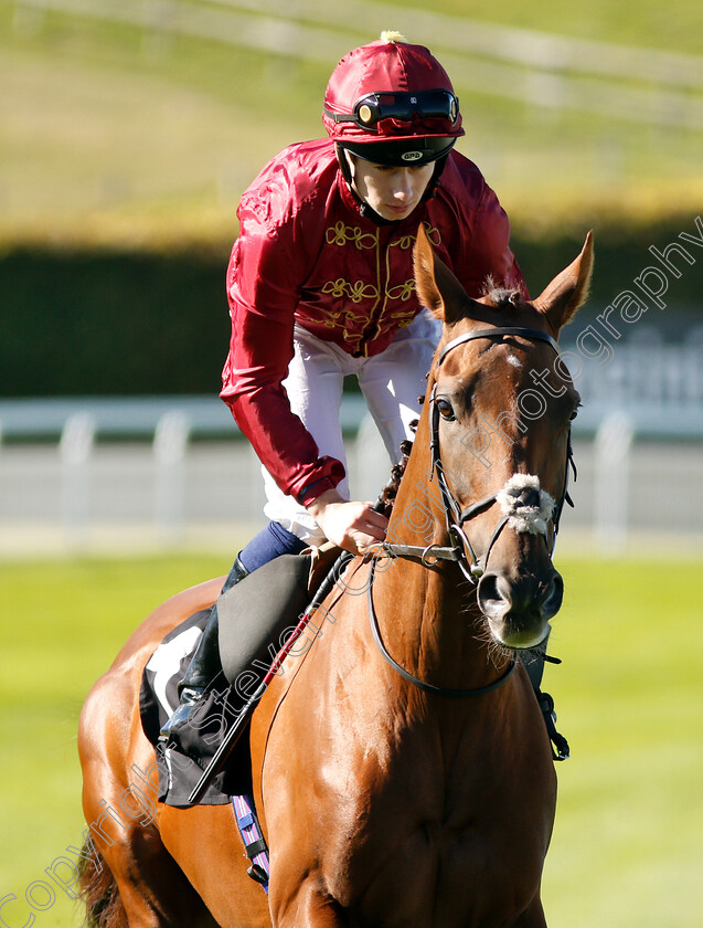 South-Seas-0001 
 SOUTH SEAS (Oisin Murphy)
Goodwood 26 Sep 2018 - Pic Steven Cargill / Racingfotos.com