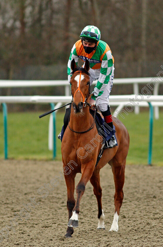 Classy-Dame-0001 
 CLASSY DAME (Adam Kirby) winner of The Ladbrokes Watch Racing Online For Free Handicap
Lingfield 6 Feb 2021 - Pic Steven Cargill / Racingfotos.com