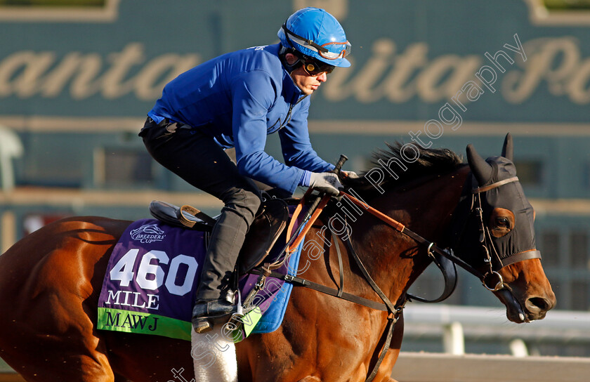 Mawj-0003 
 MAWJ training for The Breeders' Cup Mile
Santa Anita USA, 30 October 2023 - Pic Steven Cargill / Racingfotos.com