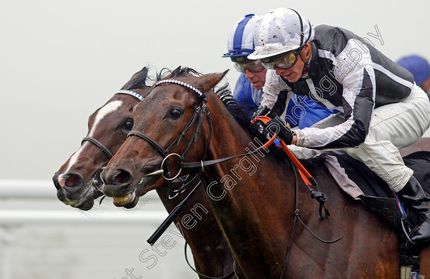 Heart-Of-Grace-0006 
 HEART OF GRACE (James Doyle) wins The Oriens Aviation British EBF Maiden Fillies Stakes Div1 Goodwood 24 May 2018 - Pic Steven Cargill / Racingfotos.com