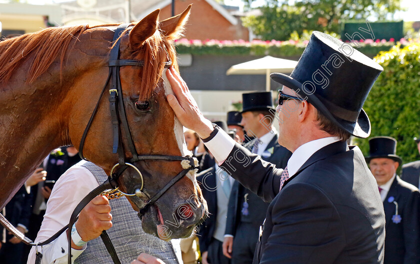 Kyprios-0010 
 KYPRIOS and Aidan O'brien after The Gold Cup
Royal Ascot 20 Jun 2024 - Pic Steven Cargill / Racingfotos.com