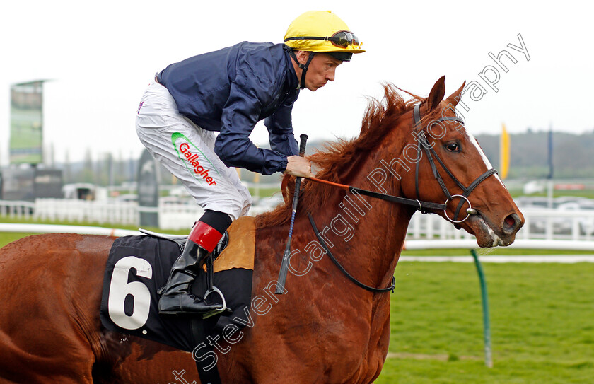 Crystal-King-0001 
 CRYSTAL KING (Shane Kelly) Newbury 21 Apr 2018 - Pic Steven Cargill / Racingfotos.com