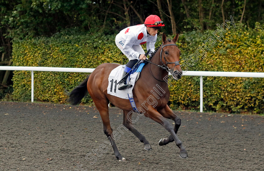 So-Darn-Hot-0001 
 SO DARN HOT (Benoit de la Sayette)
Kempton 2 Oct 2024 - pic Steven Cargill / Racingfotos.com