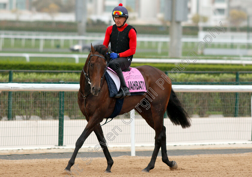 Jahbath-0001 
 JAHBATH training for the UAE Derby
Meydan 27 Mar 2019 - Pic Steven Cargill / Racingfotos.com