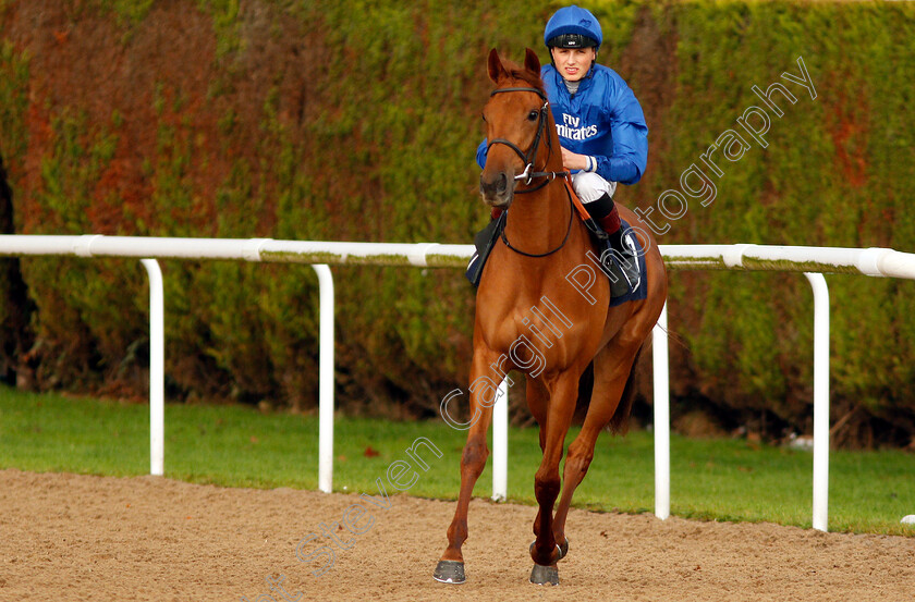 Ophelia s-Dream-0001 
 OPHELIA'S DREAM (George Wood)
Wolverhampton 28 Nov 2018 - Pic Steven Cargill / Racingfotos.com