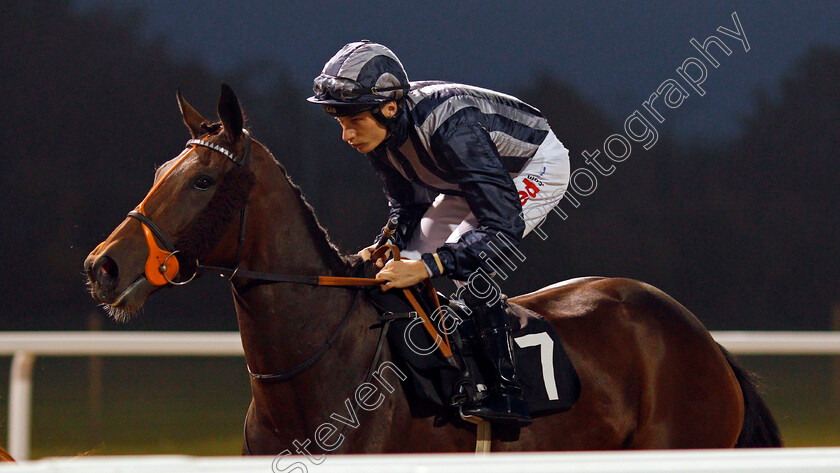 Send-Up-0001 
 SEND UP (Luke Morris) winner of The Bet totequadpot At betfred.com Handicap Chelmsford 26 Sep 2017 - Pic Steven Cargill / Racingfotos.com