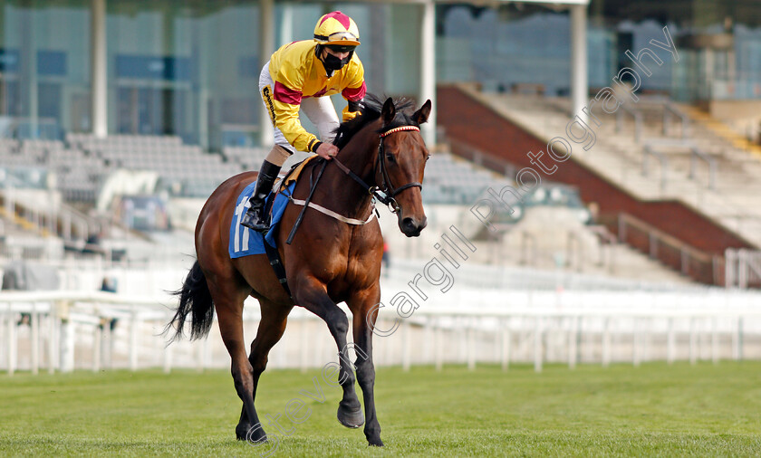 Dubai-Instinct-0001 
 DUBAI INSTINCT (Nathan Evans)
York 12 May 2021 - Pic Steven Cargill / Racingfotos.com