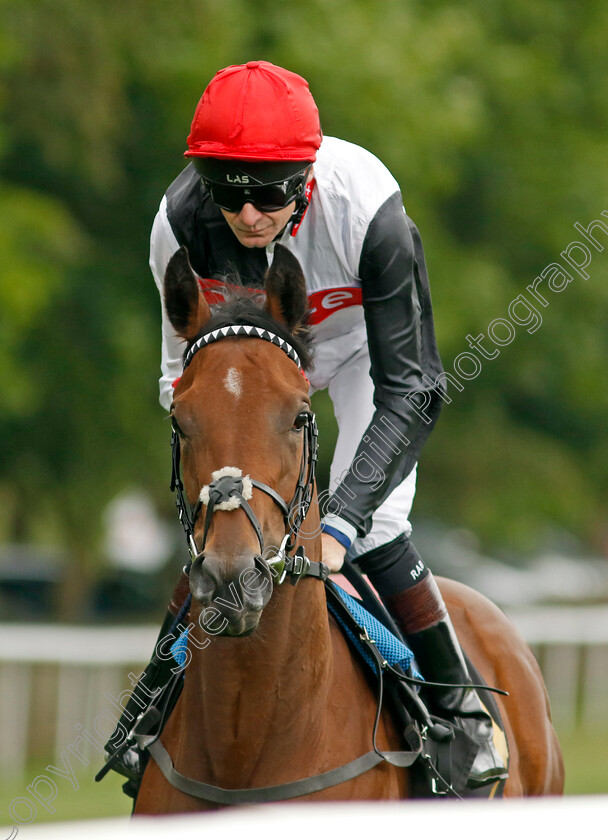 Spring-Fever-0009 
 SPRING FEVER (Robert Havlin) winner of The Mr Adrian Austin Memorial Fillies Handicap
Newmarket 1 Jul 2023 - Pic Steven Cargill / Racingfotos.com