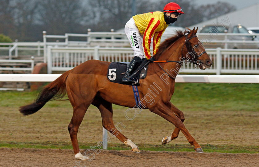 RIver-Wharfe-0001 
 RIVER WHARFE (Jamie Spencer) winner of The tote Placepot Your First Bet Nursery Div1
Chelmsford 27 Nov 2020 - Pic Steven Cargill / Racingfotos.com