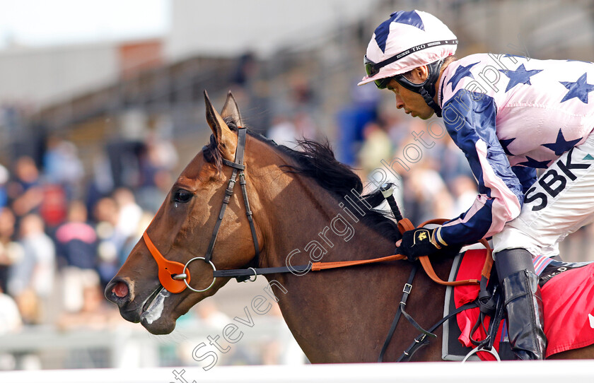 Circe-0001 
 CIRCE (Sean Levey)
Sandown 2 Sep 2023 - Pic Steven Cargill / Racingfotos.com