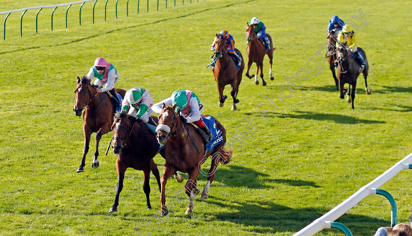 Chaldean-0002 
 CHALDEAN (Frankie Dettori) beats ROYAL SCOTSMAN (2nd left) and NOSTRUM (left) in The Darley Dewhurst Stakes
Newmarket 8 Oct 2022 - Pic Steven Cargill / Racingfotos.com