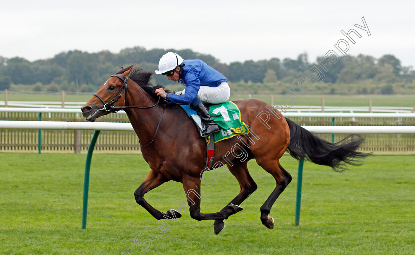 Siskany-0004 
 SISKANY (William Buick) wins The bet365 Old Rowley Cup Handicap
Newmarket 8 Oct 2021 - Pic Steven Cargill / Racingfotos.com