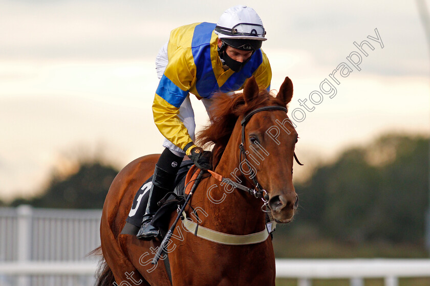 The-Mehmas-Touch-0001 
 THE MEHMAS TOUCH (Oliver Stammers)
Chlemsford 8 Oct 2020 - Pic Steven Cargill / Racingfotos.com