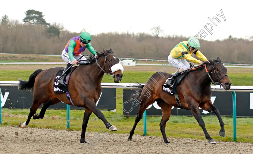 Puds-and-Royal-Birth-0001 
 PUDS (right, Joe Fanning) with ROYAL BIRTH (left, Richard Kingscote)
Lingfield 22 Feb 2020 - Pic Steven Cargill / Racingfotos.com