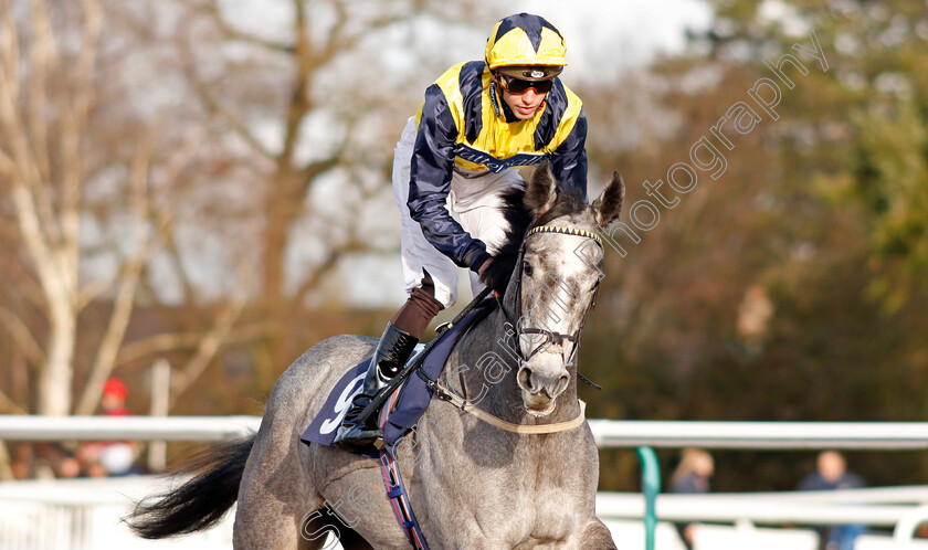 Must-Be-An-Angel-0002 
 MUST BE AN ANGEL (James Doyle)
Lingfield 18 Dec 2019 - Pic Steven Cargill / Racingfotos.com