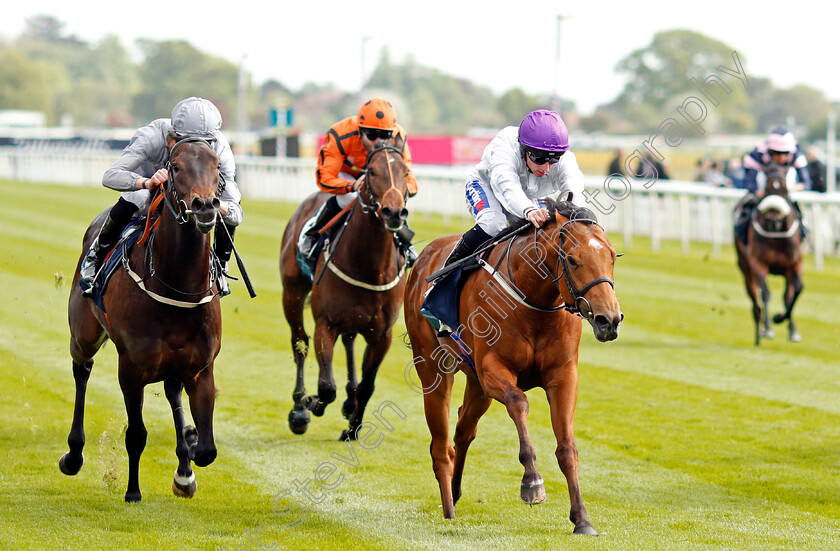 Charming-Kid-0004 
 CHARMING KID (right, Paul Hanagan) beats WORLD ORDER (left) in The British Stallion Studs EBF Novice Stakes York 16 May 2018 - Pic Steven Cargill / Racingfotos.com