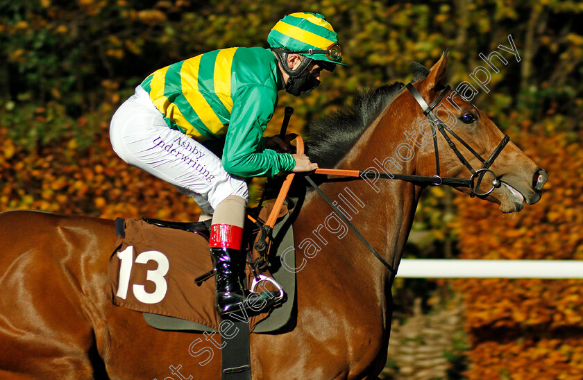 Positano-0003 
 POSITANO (Andrea Atzeni)
Kempton 11 Nov 2020 - Pic Steven Cargill / Racingfotos.com