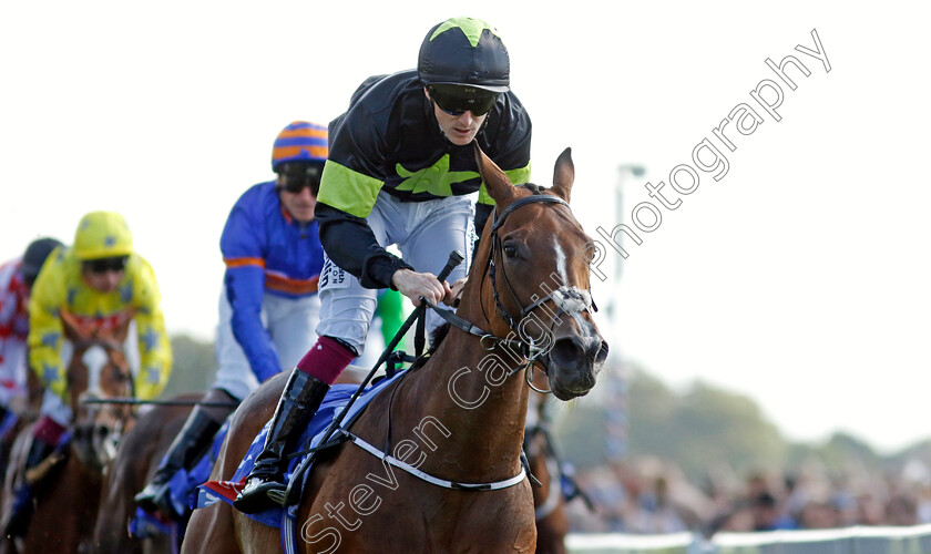 Magical-Zoe-0001 
 MAGICAL ZOE (W J Lee) wins Sky Bet Ebor Handicap
York 24 Aug 2024 - Pic Steven Cargill / Racingfotos.com