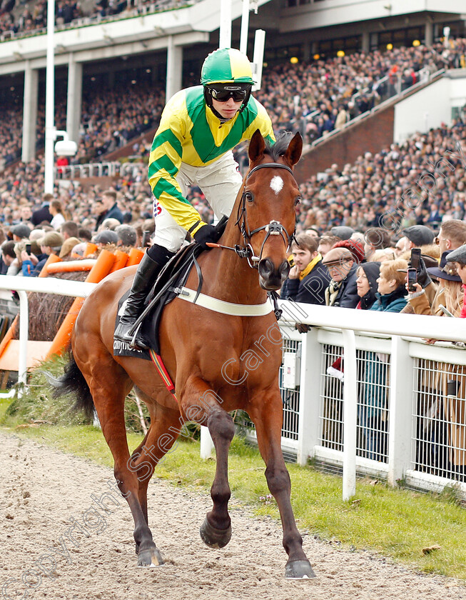 Getaway-Fred-0001 
 GETAWAY FRED (Harry Cobden)
Cheltenham 11 Mar 2020 - Pic Steven Cargill / Racingfotos.com