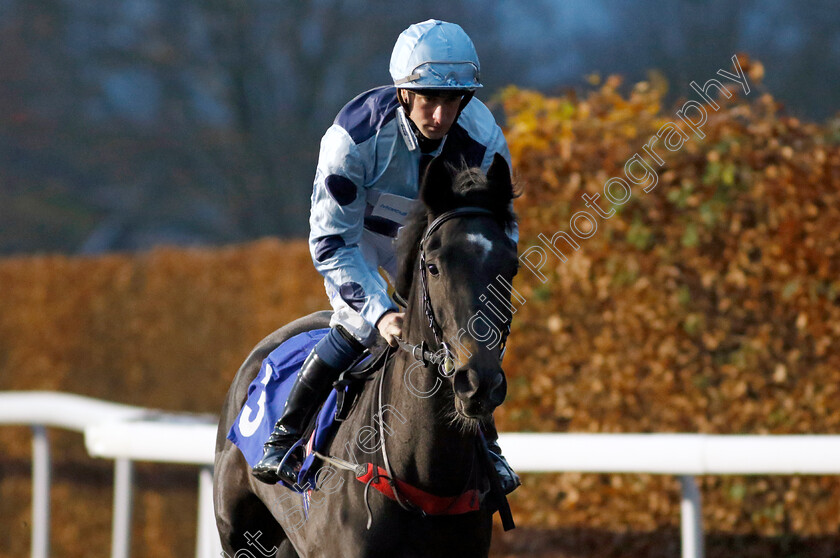 A-Swan-Song-0001 
 A SWAN SONG (Joey Haynes)
Kempton 4 Dec 2024 - Pic Steven Cargill / Racingfotos.com