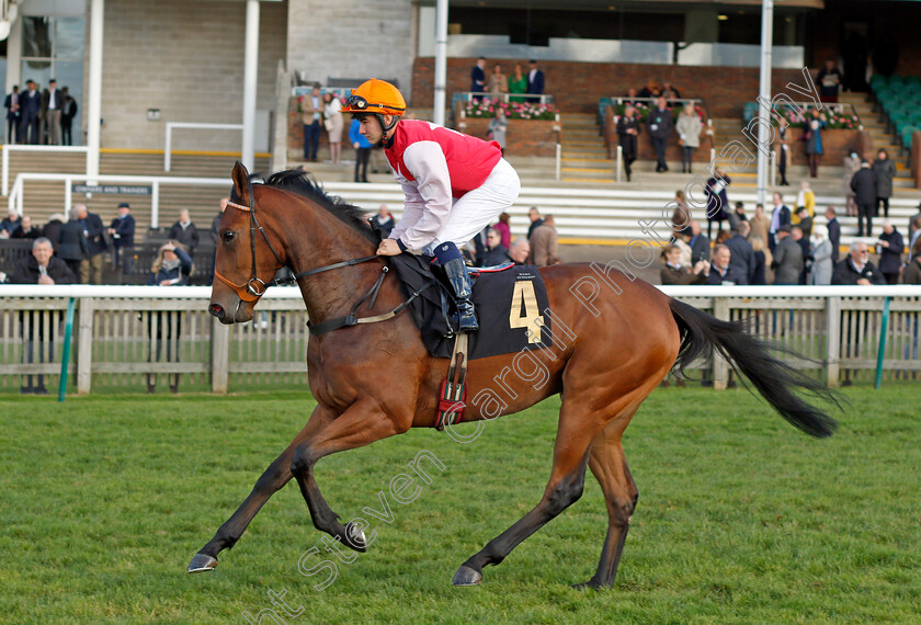 Belle-Bouteille 
 BELLE BOUTEILLE (Lorenzo Atzori)
Newmarket 30 Oct 2021 - Pic Steven Cargill / Racingfotos.com