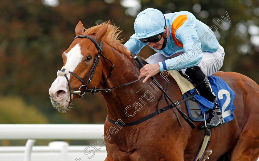 The-Rosstafarian-0008 
 THE ROSSTAFARIAN (James Doyle) wins The PKF Francis Clark British EBF Novice Stakes Div2
Salisbury 1 Oct 2020 - Pic Steven Cargill / Racingfotos.com