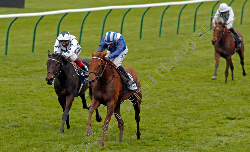 Zeyaadah-0006 
 ZEYAADAH (Jim Crowley) beats MYSTERY ANGEL (left) in The British Stallion Studs EBF Montrose Fillies Stakes
Newmarket 31 Oct 2020 - Pic Steven Cargill / Racingfotos.com