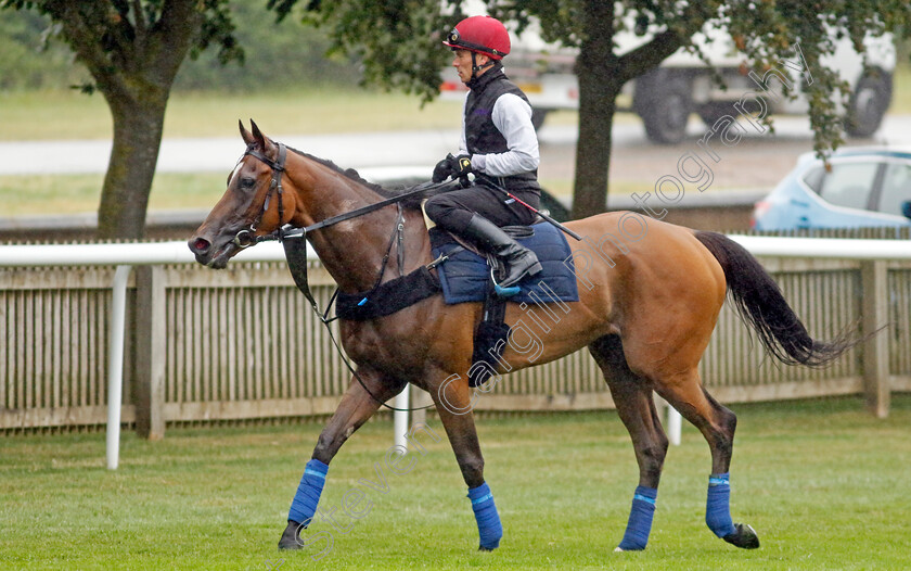 Soul-Sister-0001 
 SOUL SISTER (Kieran Shoemark)
Newmarket 1 Jul 2023 - Pic Steven Cargill / Racingfotos.com